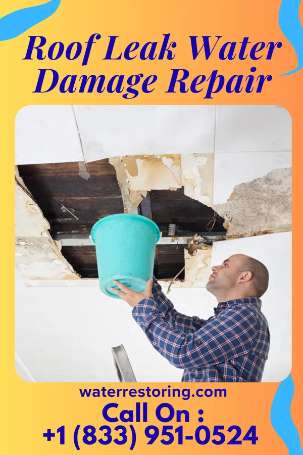 Roof Leak Water Damage Repair in Cascade Colony, MT